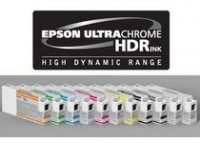 Epson C13T636700 Light Black 700ml