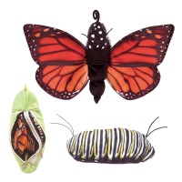 Folkmanis Handpuppe Metamorphose Schmetterling